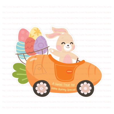 Bunny car cake pop card
