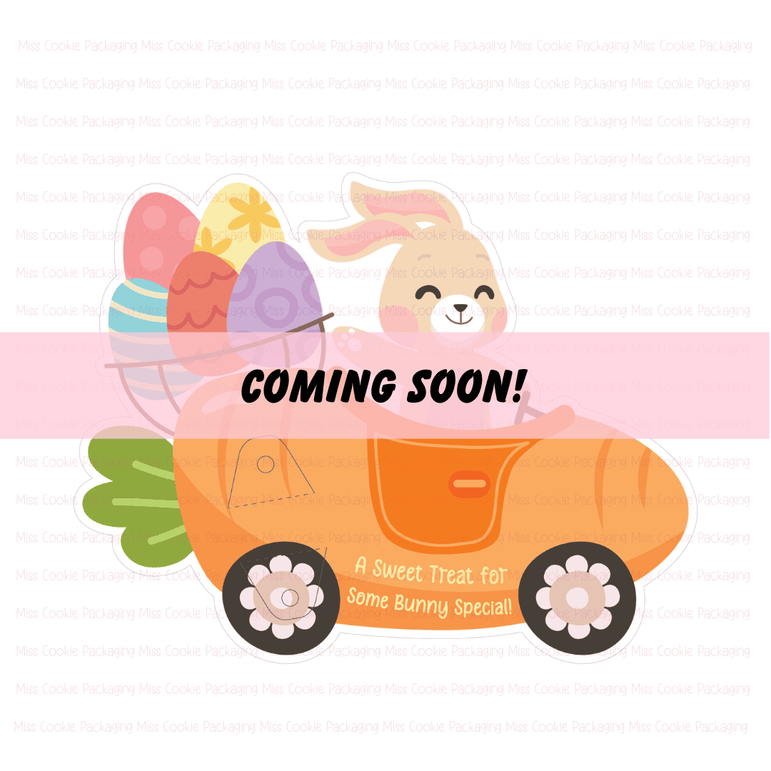 Somebunny Special Cake Pop Card Somebunny Special Cake Pop Card