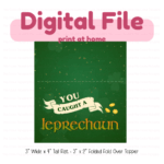 You caught a leprechaun 3x4