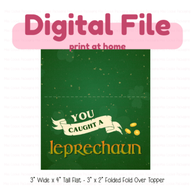 You caught a leprechaun 3x4