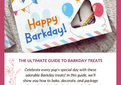 barkday Blog cover