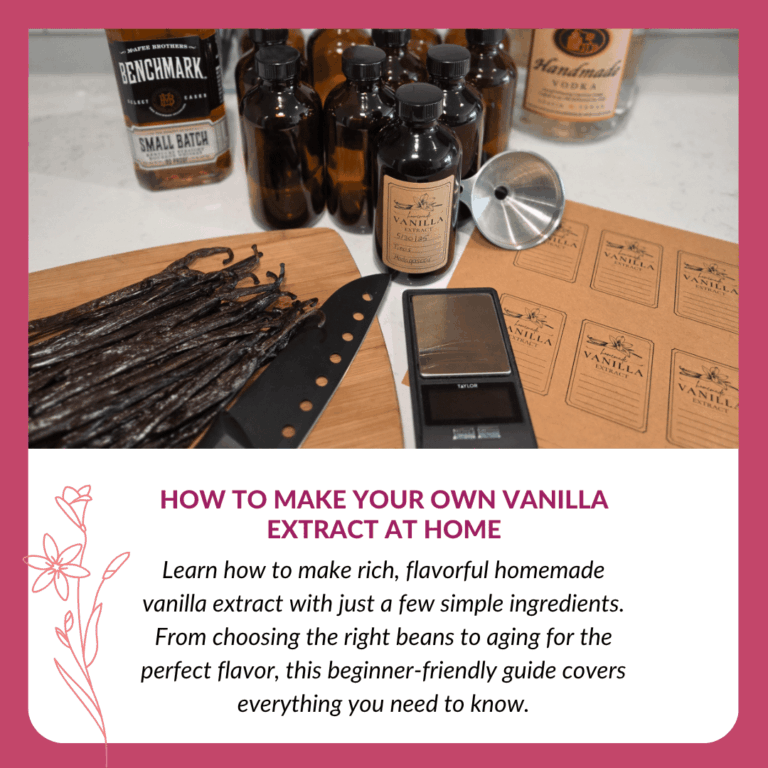 vanilla Blog cover photo