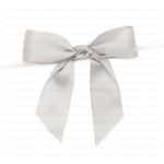 shell grey bow back